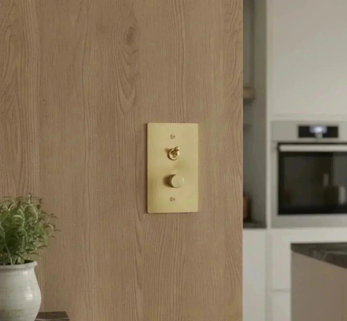Toggle and dimmer brass combo switch plate on a wooden wall in the kitchen