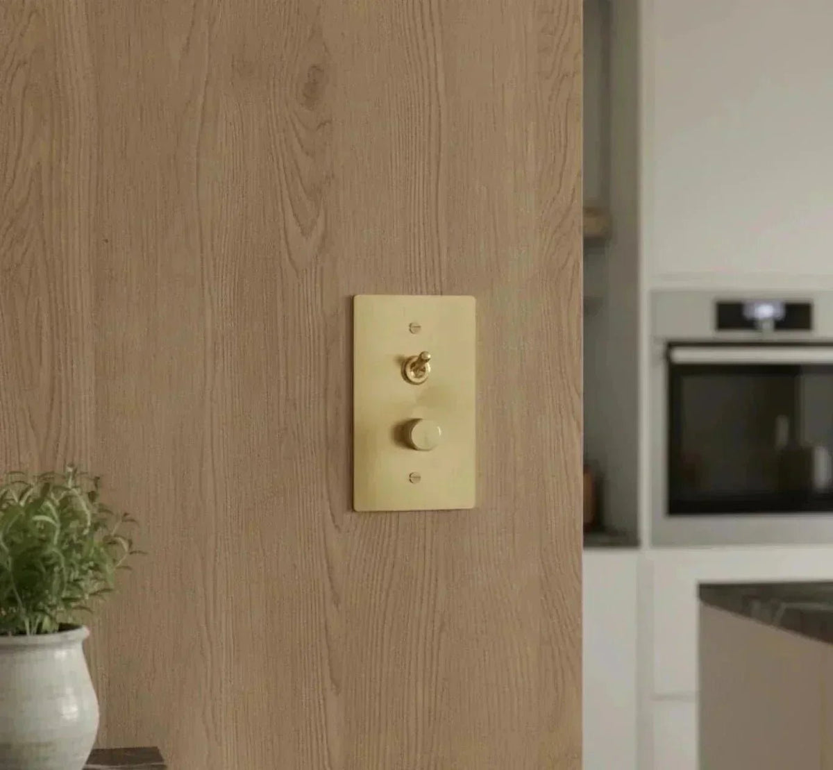 Toggle and dimmer brass combo switch plate on a wooden wall in the kitchen