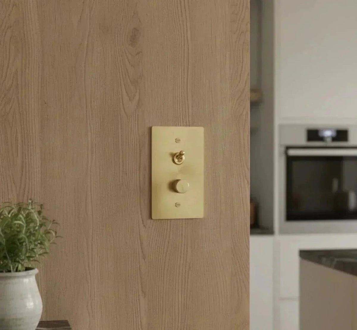 Toggle and dimmer brass combo switch plate on a wooden wall in the kitchen