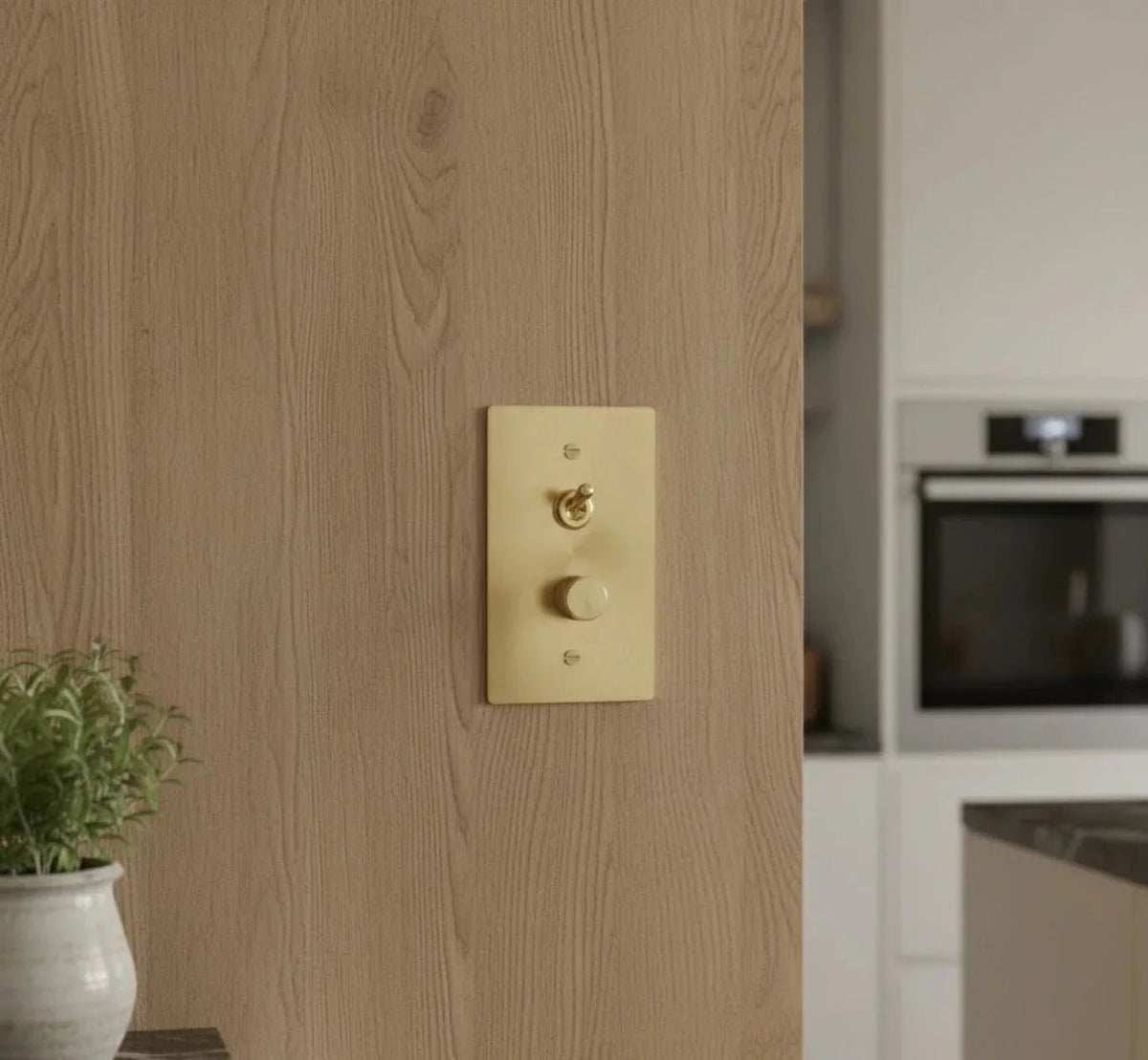 Toggle and dimmer brass combo switch plate on a wooden wall in the kitchen
