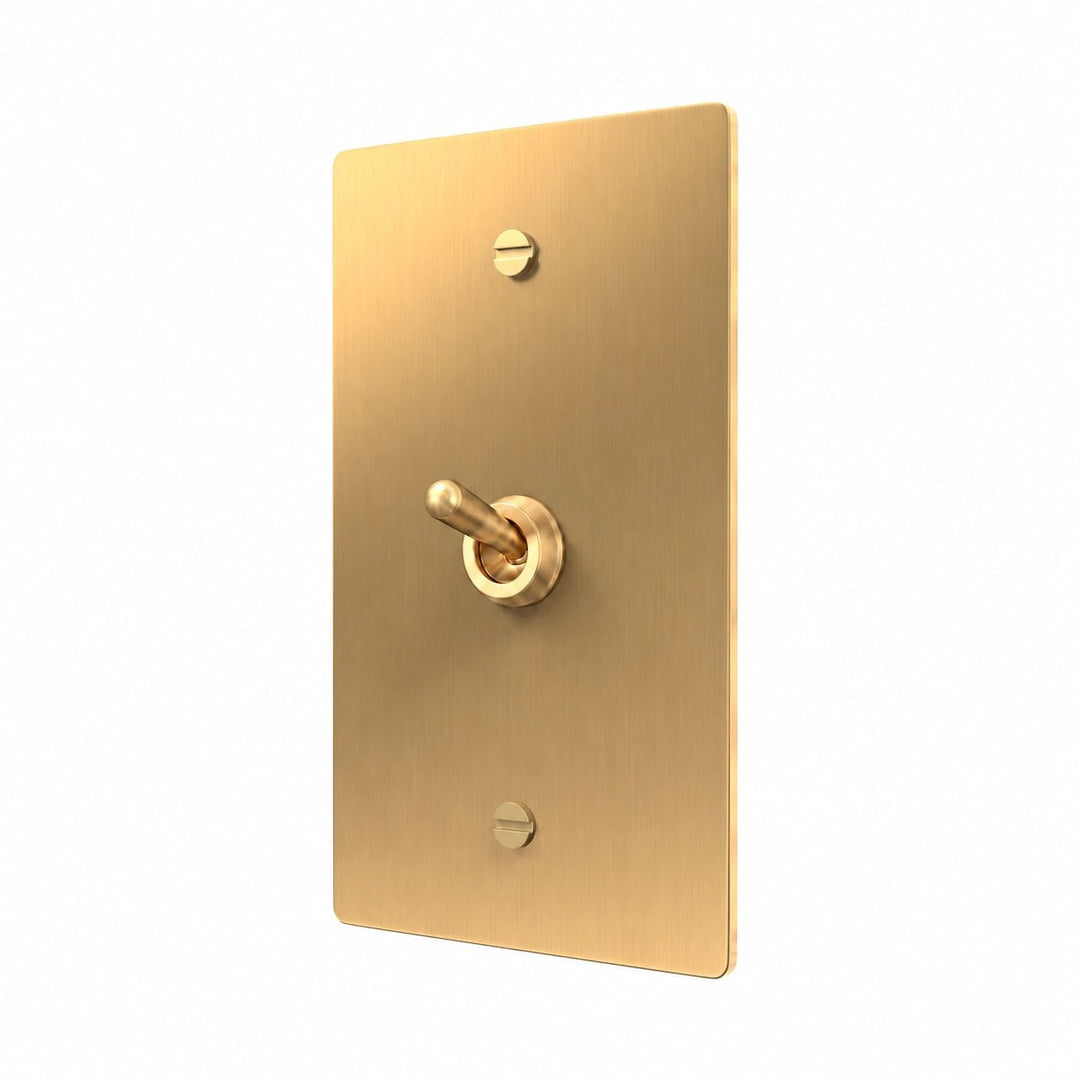 A modern single-toggle wall switch plate in brushed brass, featuring a central lever switch and two mounting holes, shown against a solid white background.