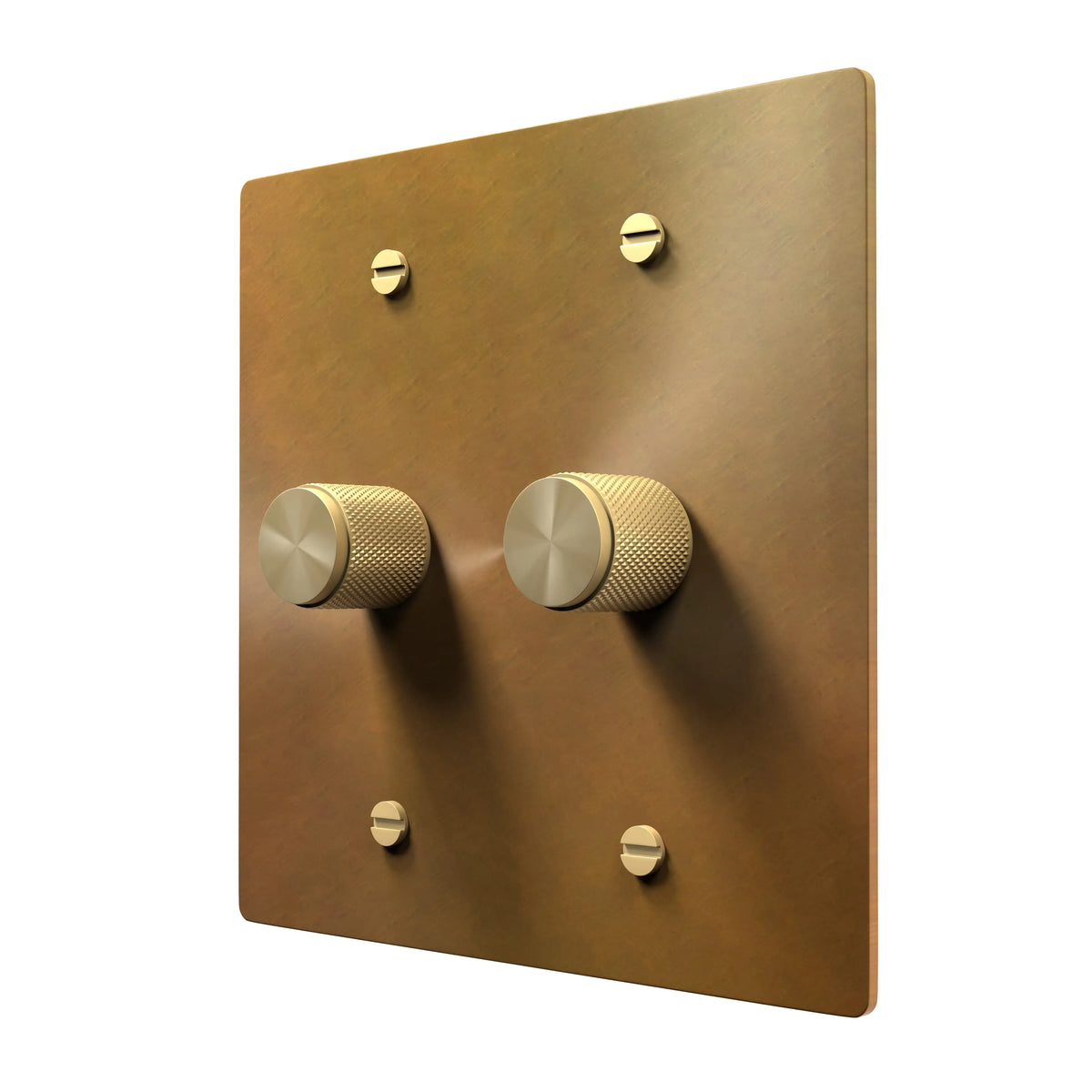 Unlacquered brass 2 gang rotary dimmer switch plate