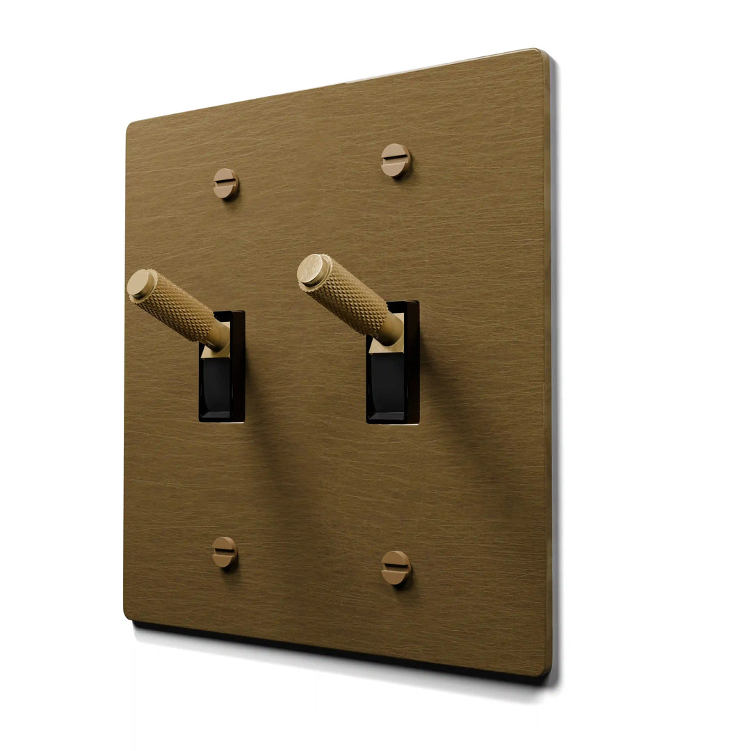 aged brass 2 gang toggle light switch