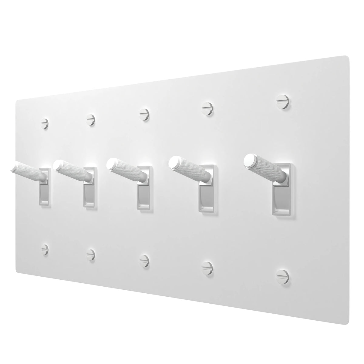 5 Gang white toggle light switch