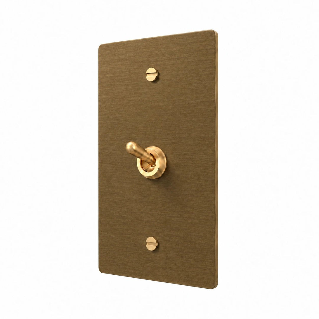 A single-toggle switch plate in brushed brass with a matching lever handle, shown on a solid white background.