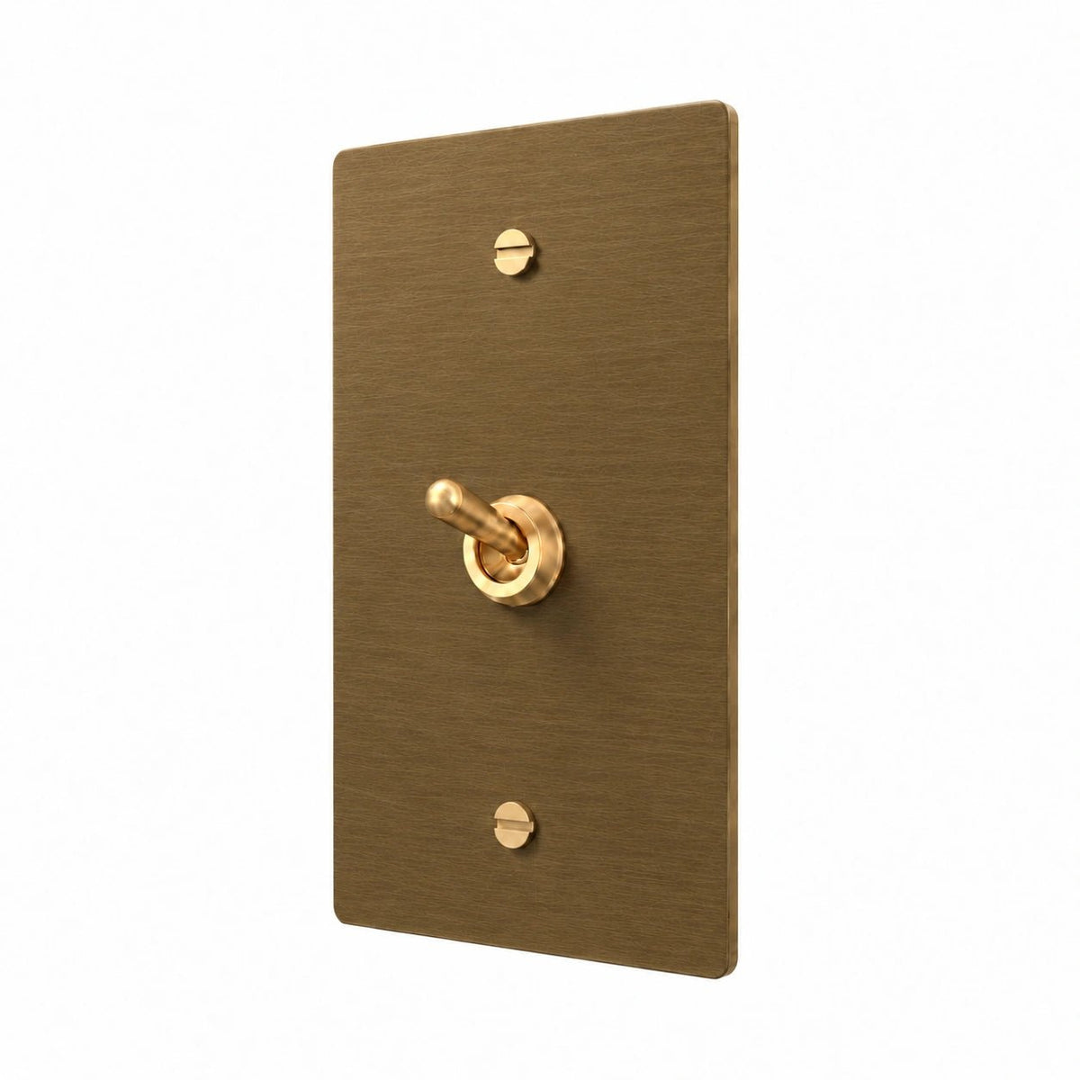 A single-toggle switch plate in brushed brass with a matching lever handle, shown on a solid white background.