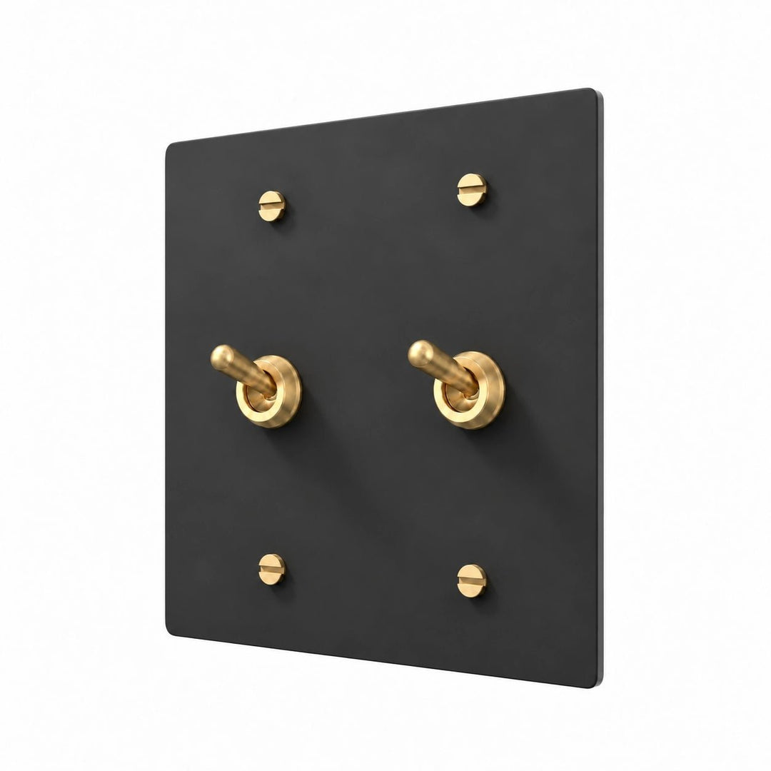 A modern black square wall plate with 2 brass toggle switches and matching brass screws, shown on a clean white background.