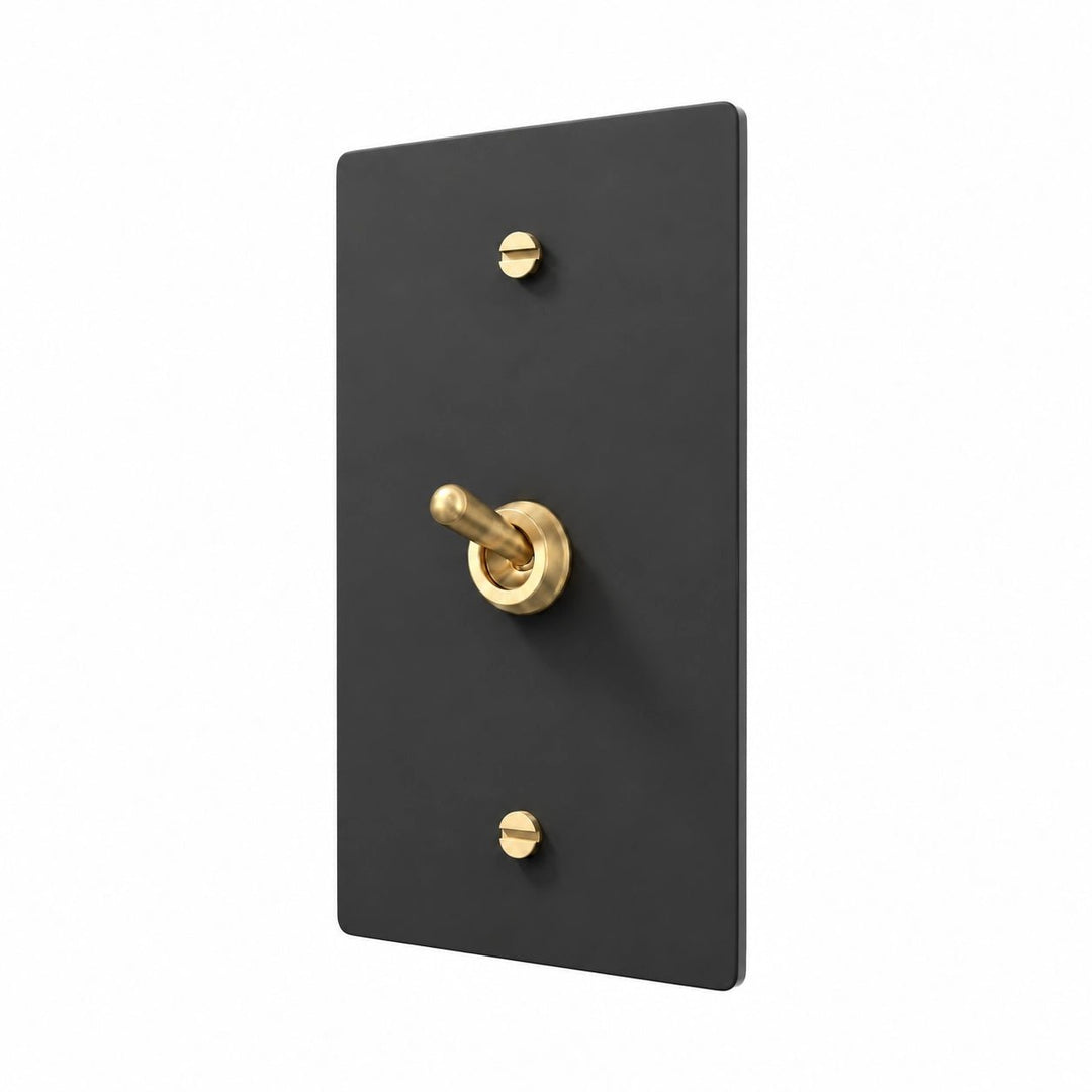 A modern wall switch plate with a matte black rectangular backplate and a central brushed gold lever switch, secured by two matching gold screws.