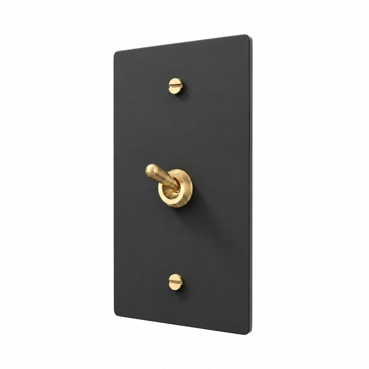 A modern wall switch plate with a matte black rectangular backplate and a central brushed gold lever switch, secured by two matching gold screws.