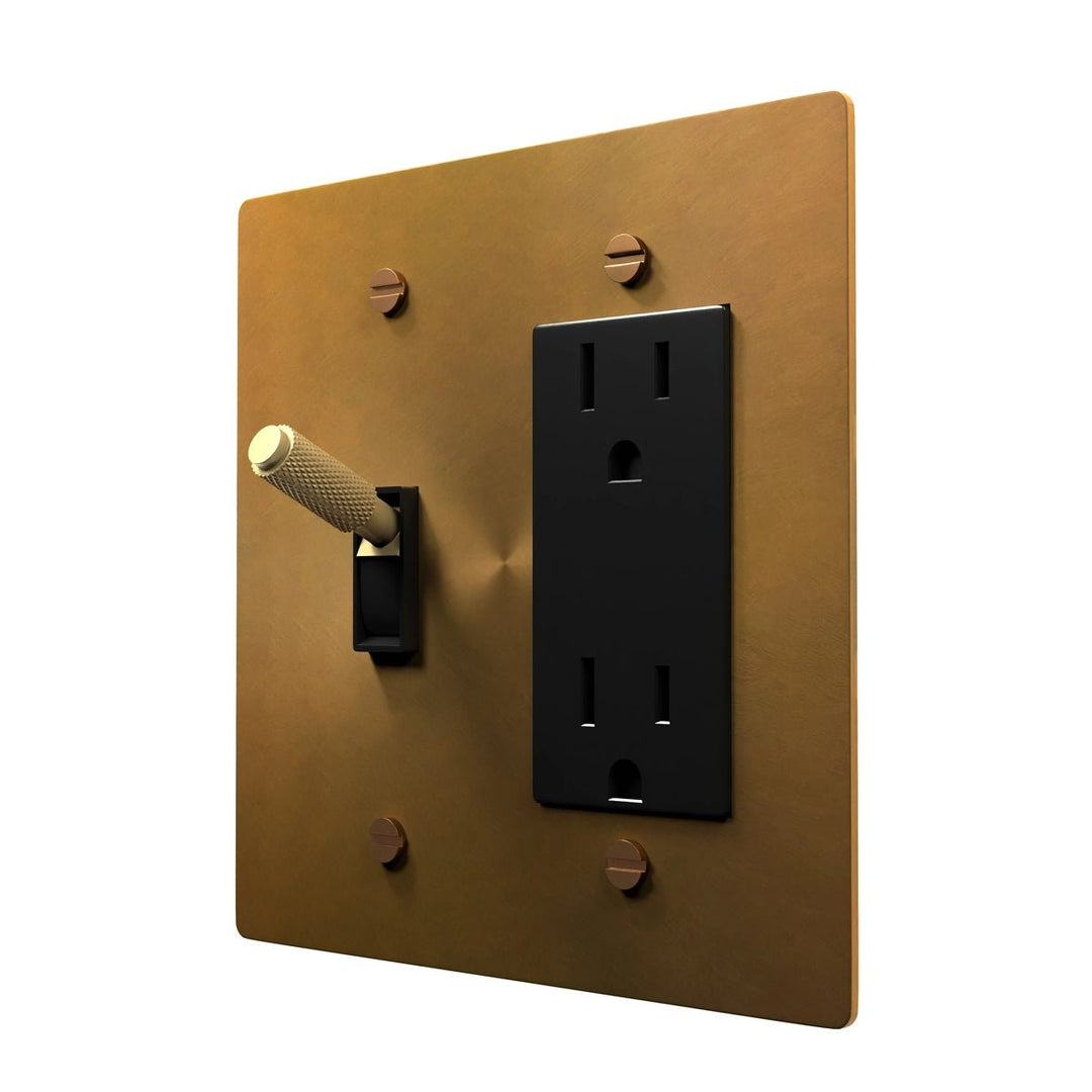 Brass Finish Combo Switch Plate - Toggle Outlet