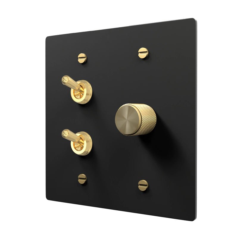 Brass Switch Plate - Retro Toggle & Dimmer Combo