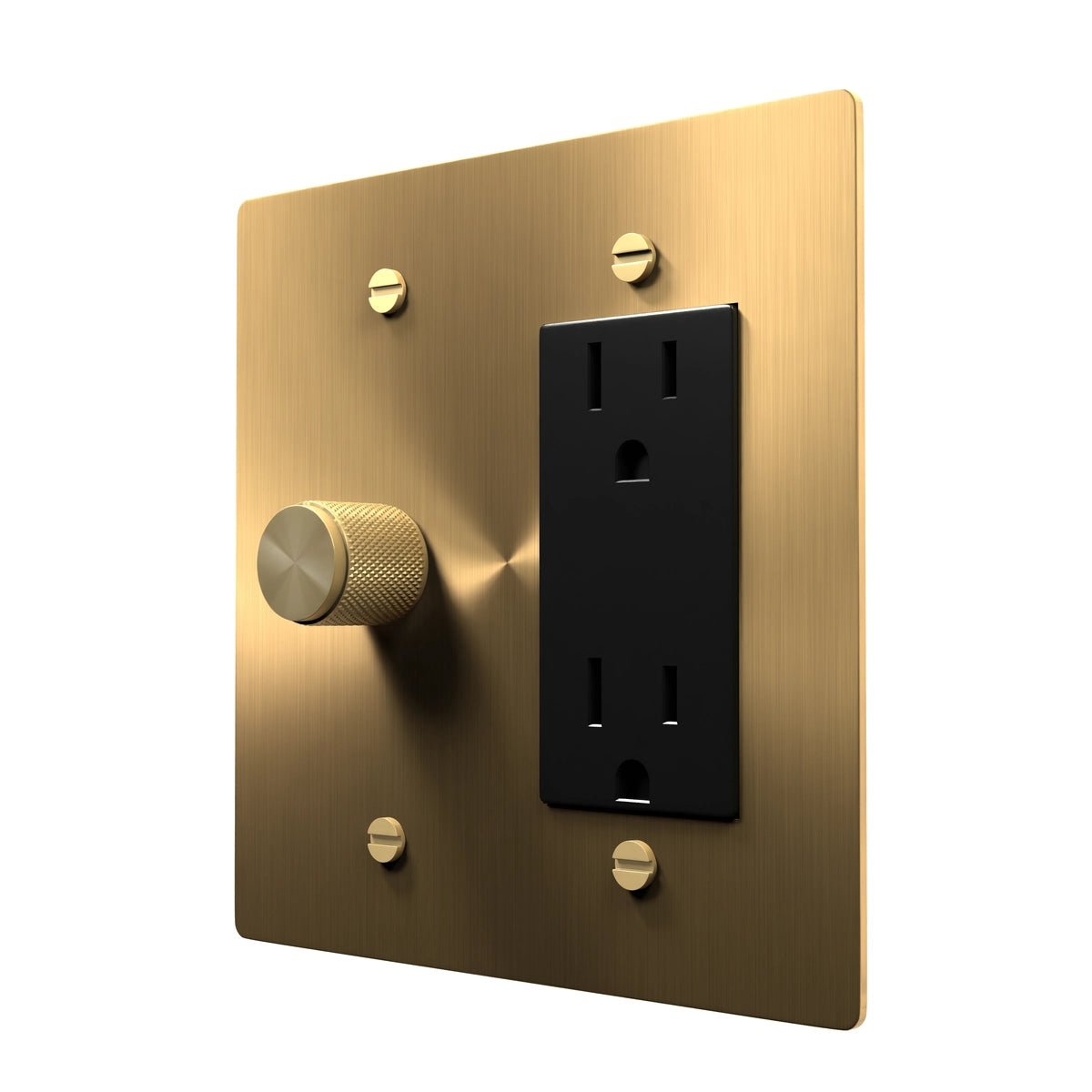Brass Combo Plate - Dimmer and Socket Switch
