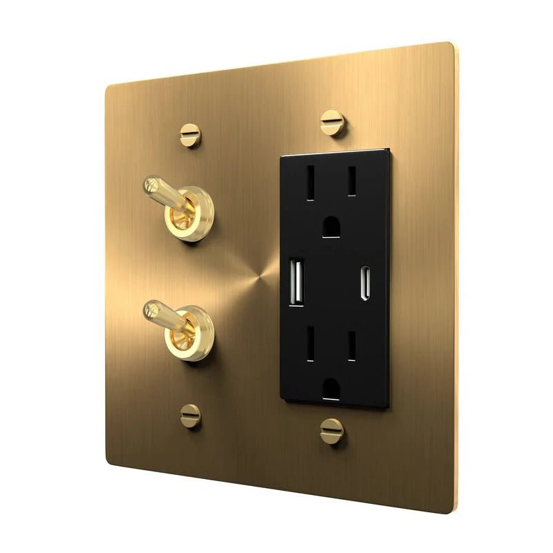 Vintage Combo Plate - Brass Toggle and Outlet