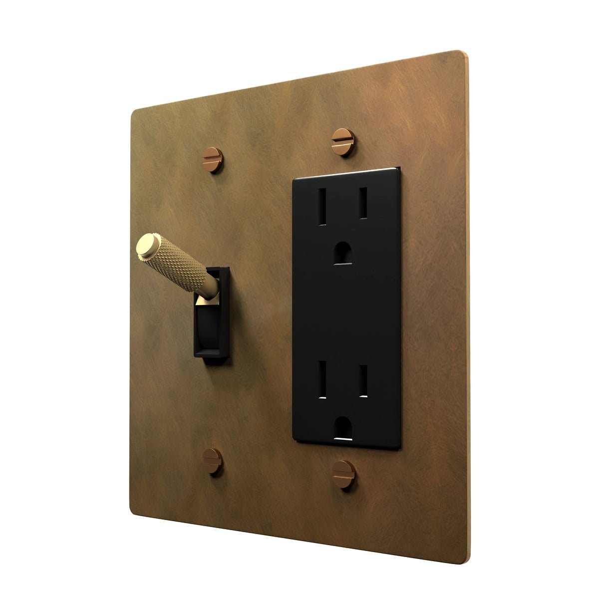 Retro Combo Plate - Brass Toggle and Power Outlet