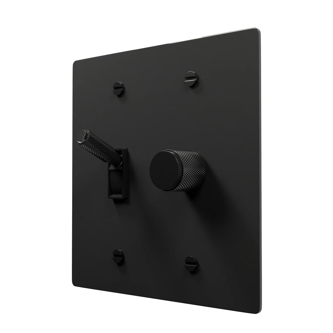 Brass Switch Plate - Toggle with Dimmer Control