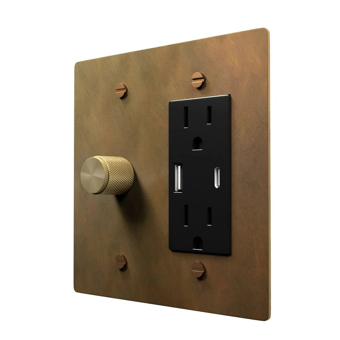 Brass Combo Cover Plate - Dimmer with Socket