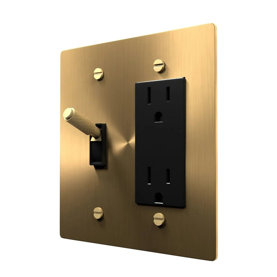 Elegant Brass Combo Plate - Toggle and Outlet