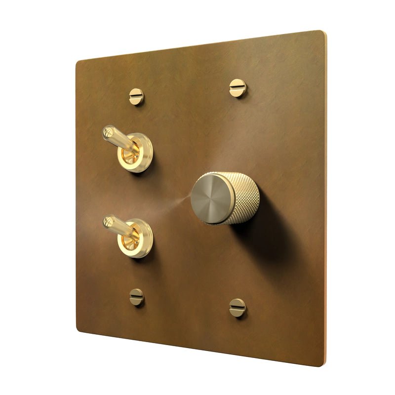 Brass Combo Plate - Retro Toggle & Dimmer Cover