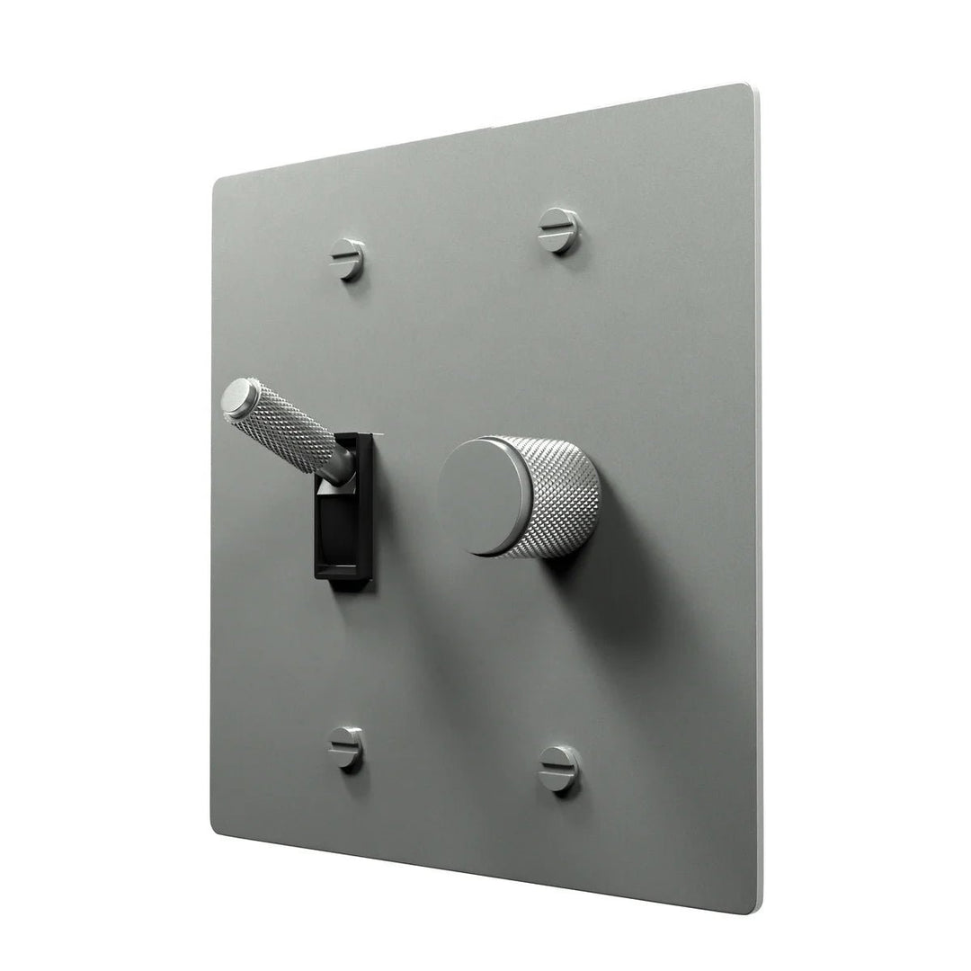 Stylish Brass Combo Plate - Toggle and Dimmer