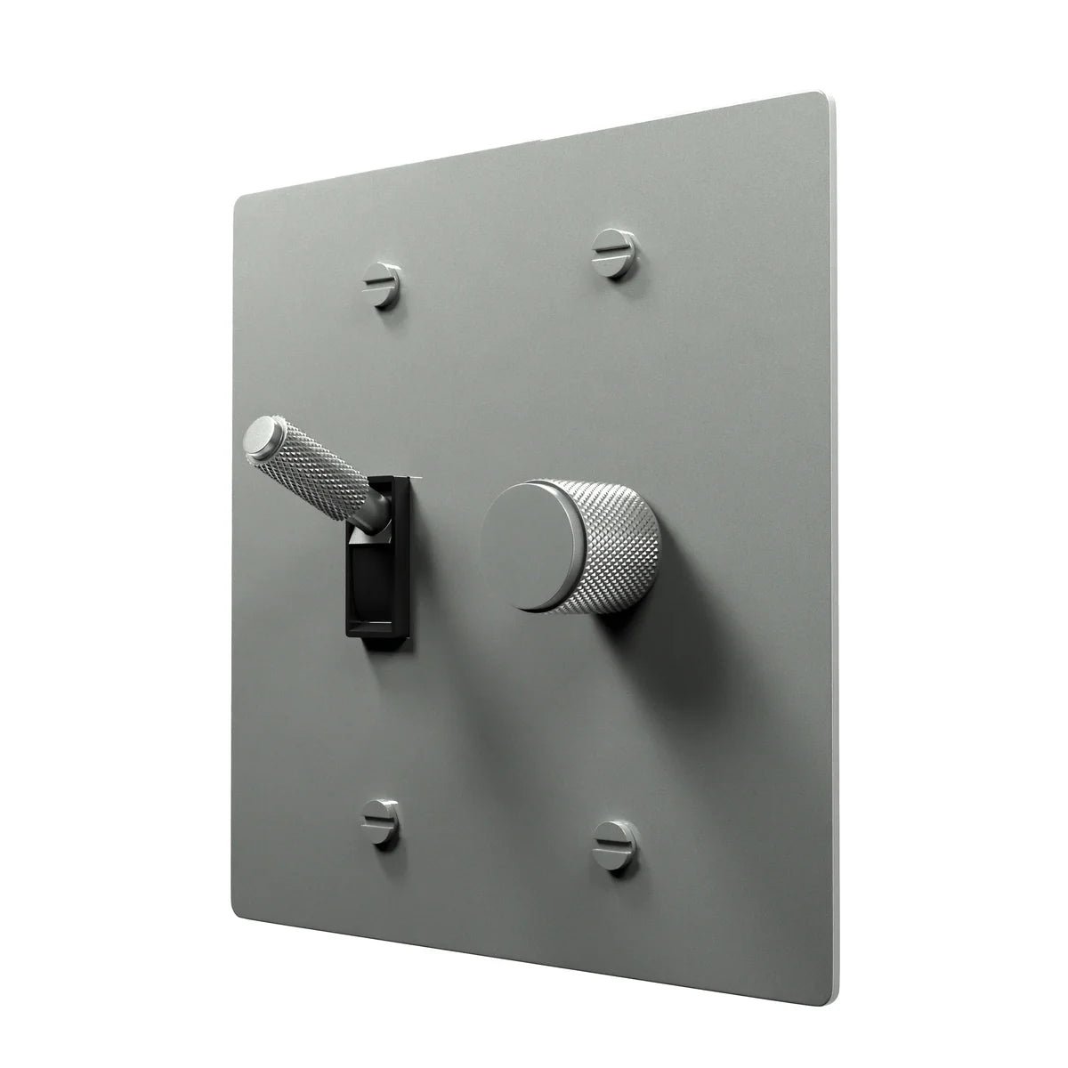 Stylish Brass Combo Plate - Toggle and Dimmer