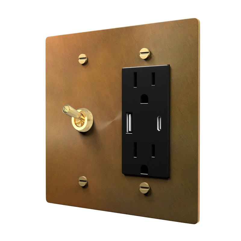 Elegant Brass Plate - Toggle & Outlet Combination