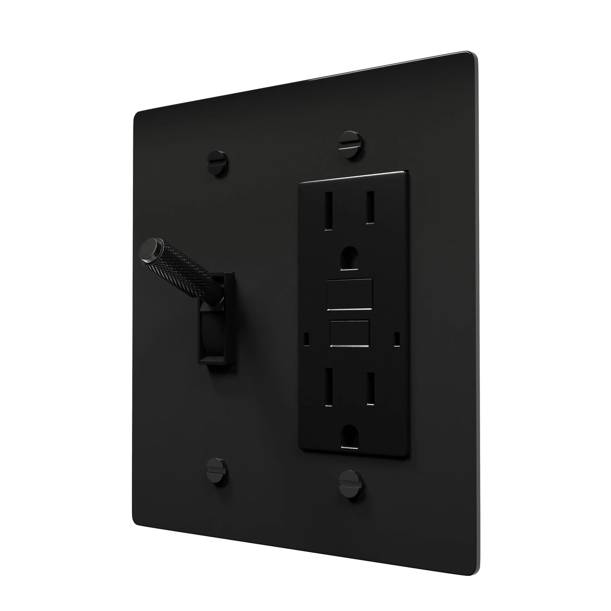 Vintage Combo Switch Plate - Toggle & Plug