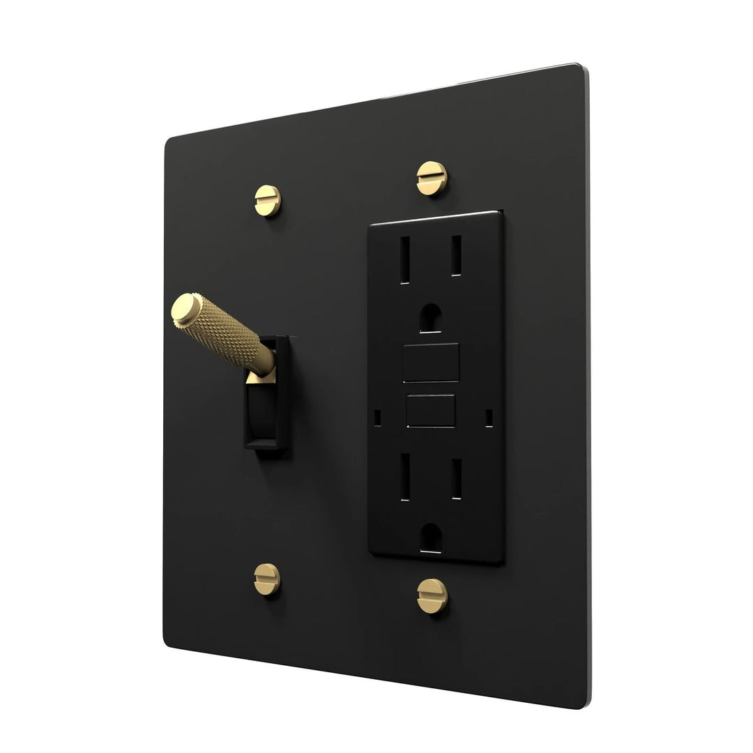 Brass Faceplate - Toggle Switch and Plug Outlet