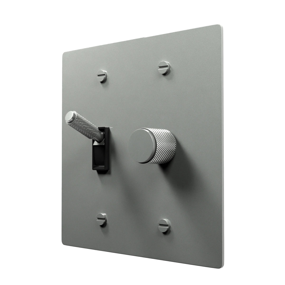 Brass Dimmer and Toggle Plate - Classic Design