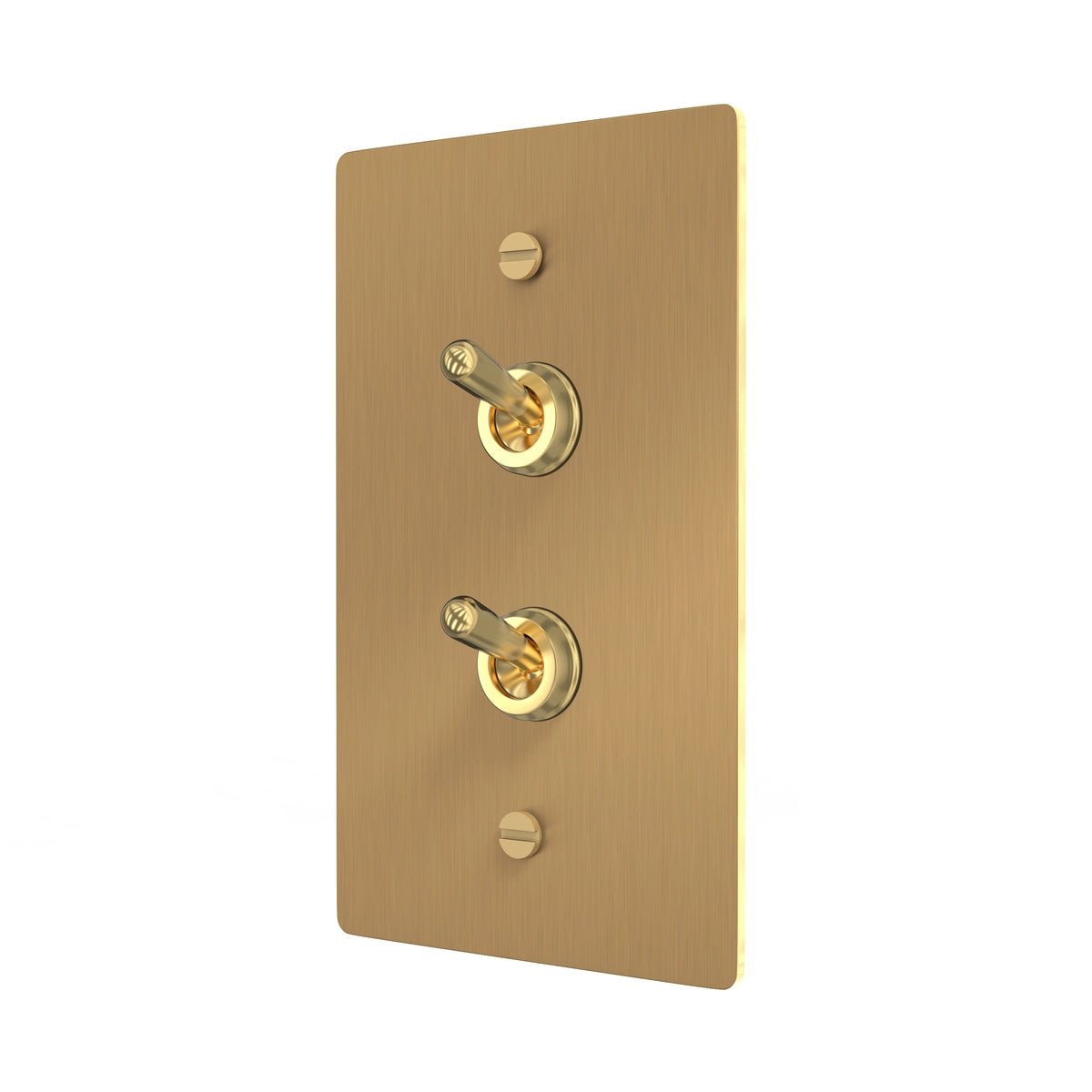 Brass Double Toggle Switch - Retro Style Plate