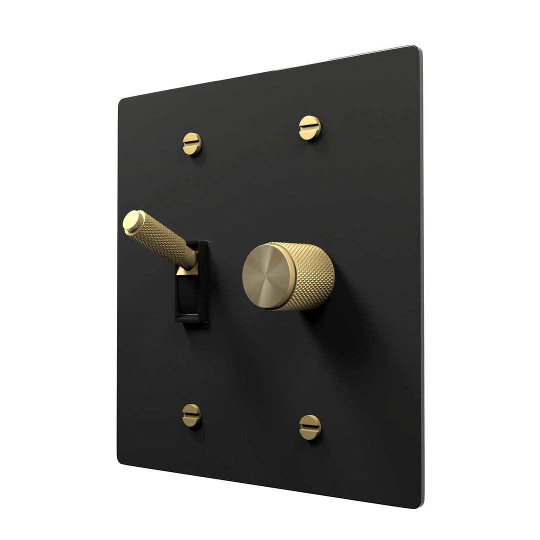 Antique Brass Combo Switch Plate - Toggle + Dimmer