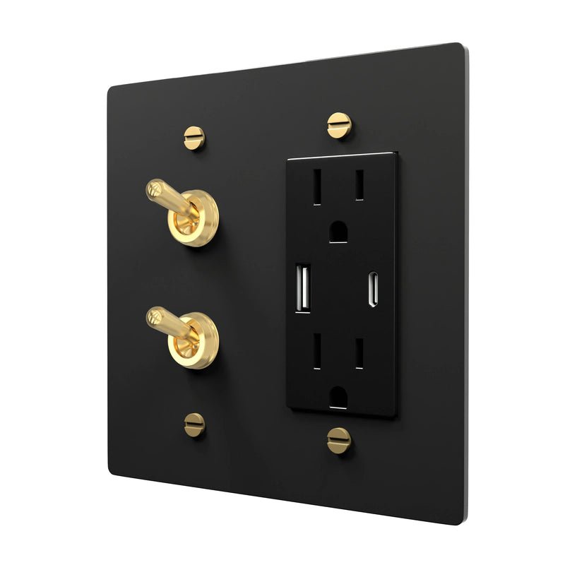 Brass Dual Switch Plate - Retro Combo Cover