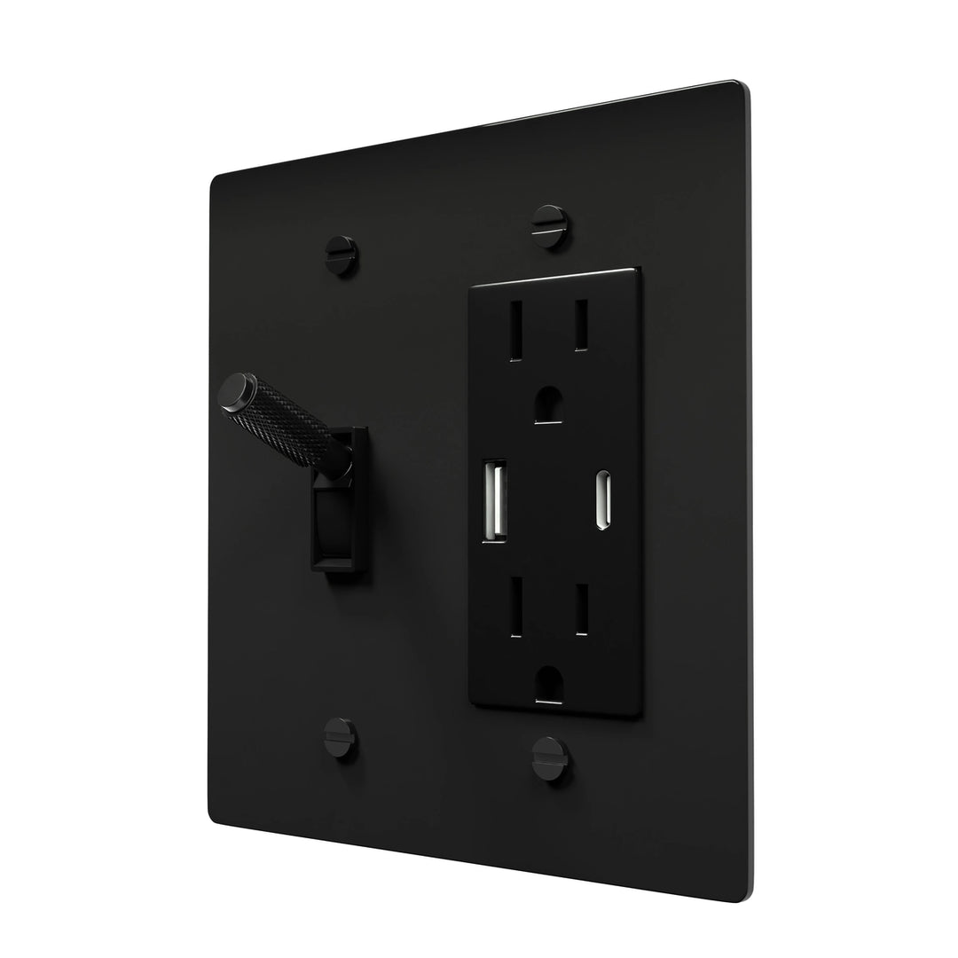 Classic Brass Plate - Toggle and Power Outlet