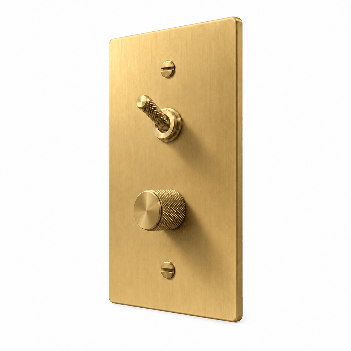 Brass 1-Gang Knurled Toggle & Dimmer Light Switch with brass controls and matching mounting screws