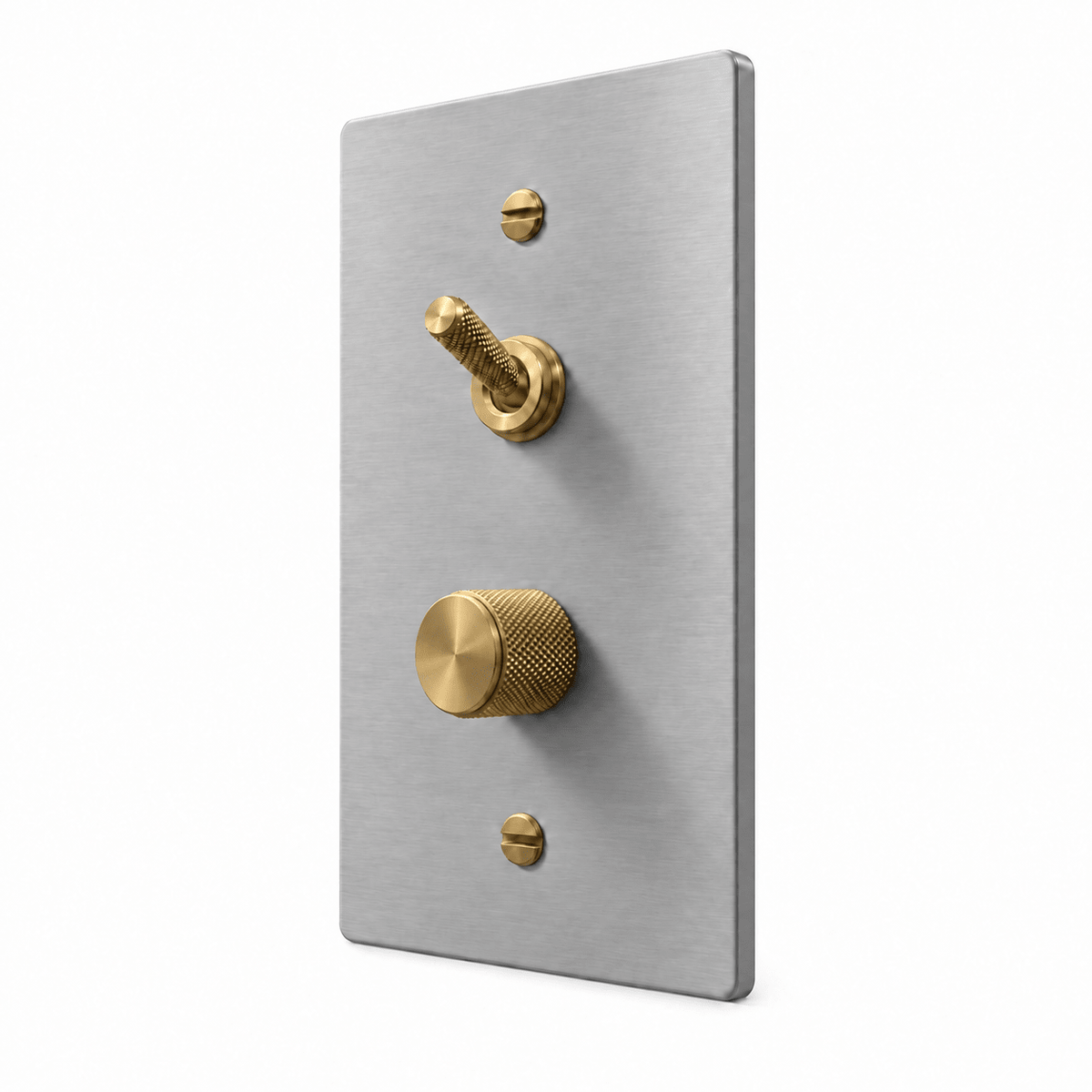 Stainless Steel / Brass 1-Gang Knurled Toggle & Dimmer Light Switch with brass controls and matching mounting screws