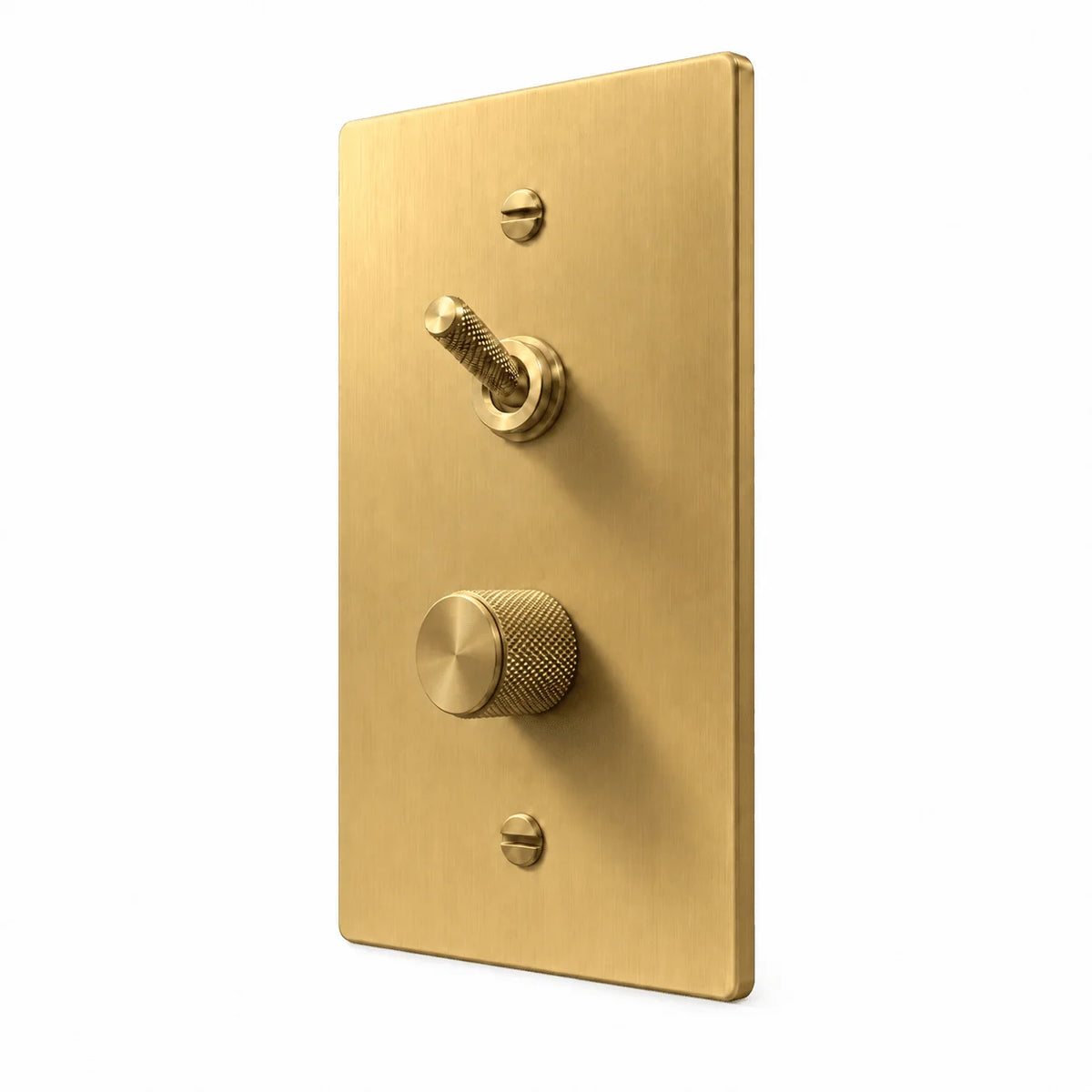 Brass 1-Gang Knurled Toggle & Dimmer Light Switch with brass controls and matching mounting screws