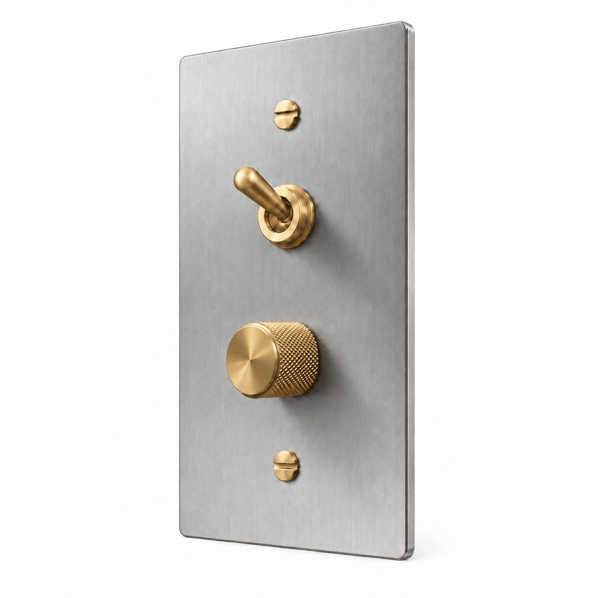 PlatePrestige 1-Gang Retro Toggle & Dimmer Light Switch in Stainless Steel / Brass