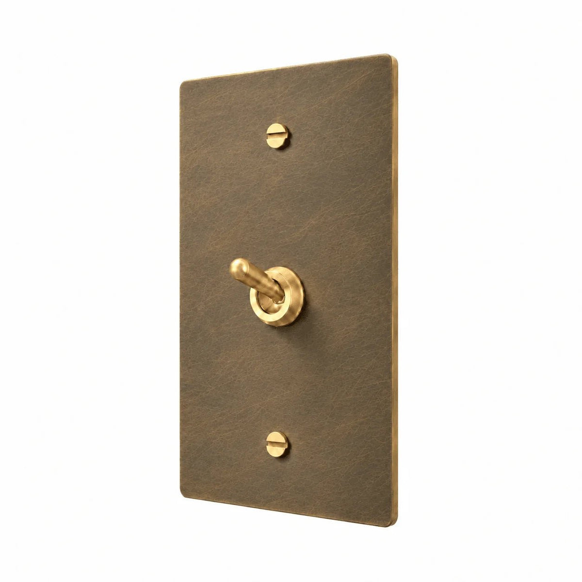 A single-toggle switch plate in brushed brass with a matching lever handle, shown on a solid white background.