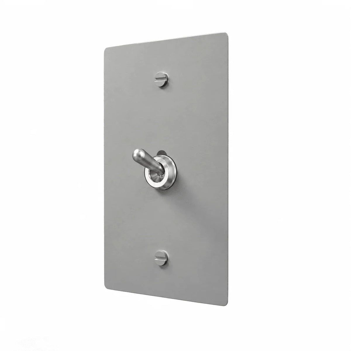 Stainless steel 1-Gang Retro Toggle Switch with realistic rounded silver toggles