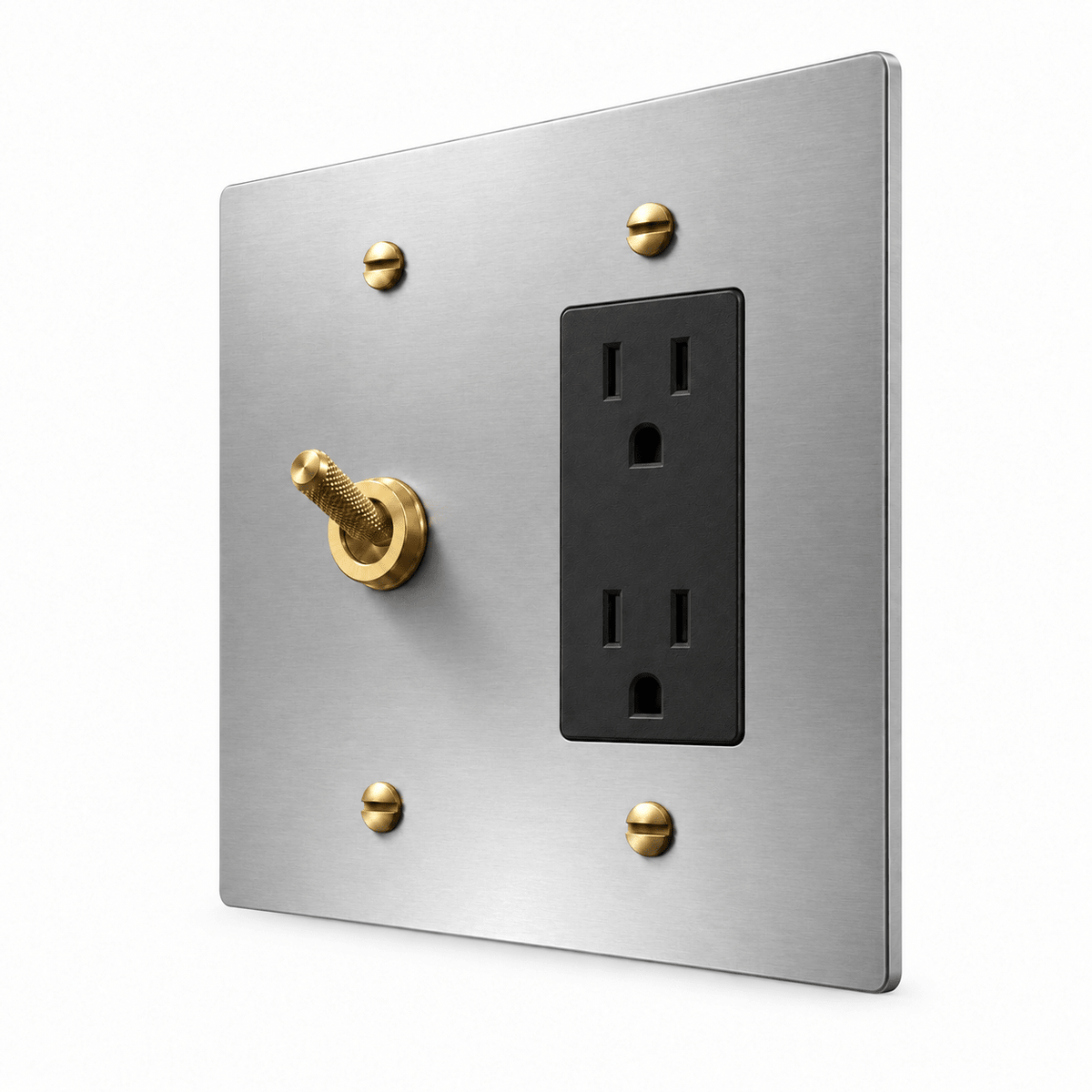 PlatePrestige 2-Gang Knurled Toggle Light Switch & Outlet in Stainless Steel / Brass