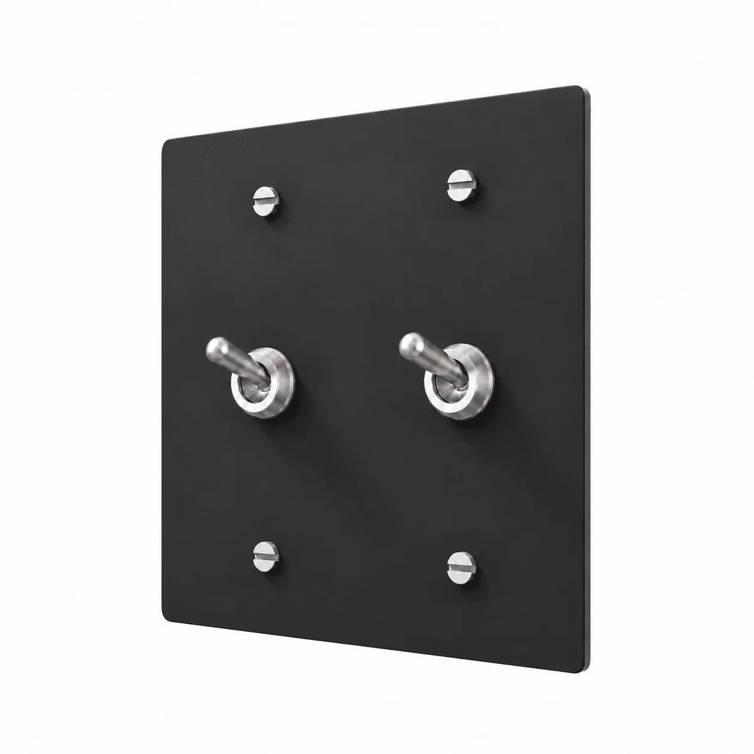 Matte black 2 gang retro toggle switch with silver rounded toggle hardware