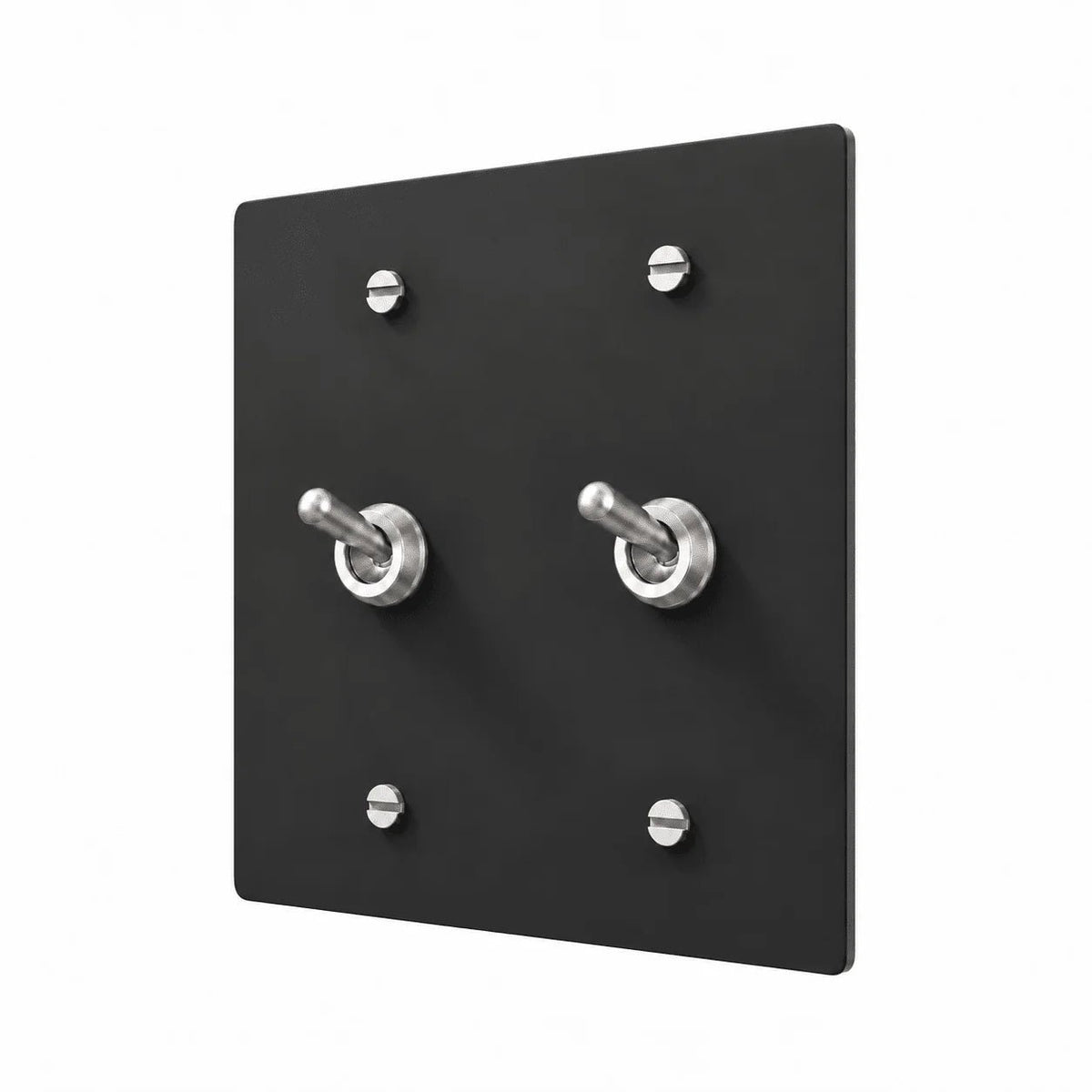 Matte black 2 gang retro toggle switch with silver rounded toggle hardware