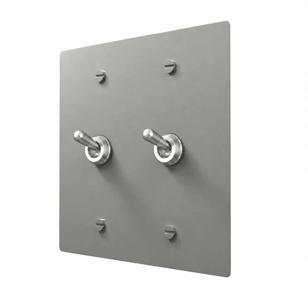 Stainless steel PlatePrestige Retro Toggle Switch 2-Gang with realistic rounded silver toggles