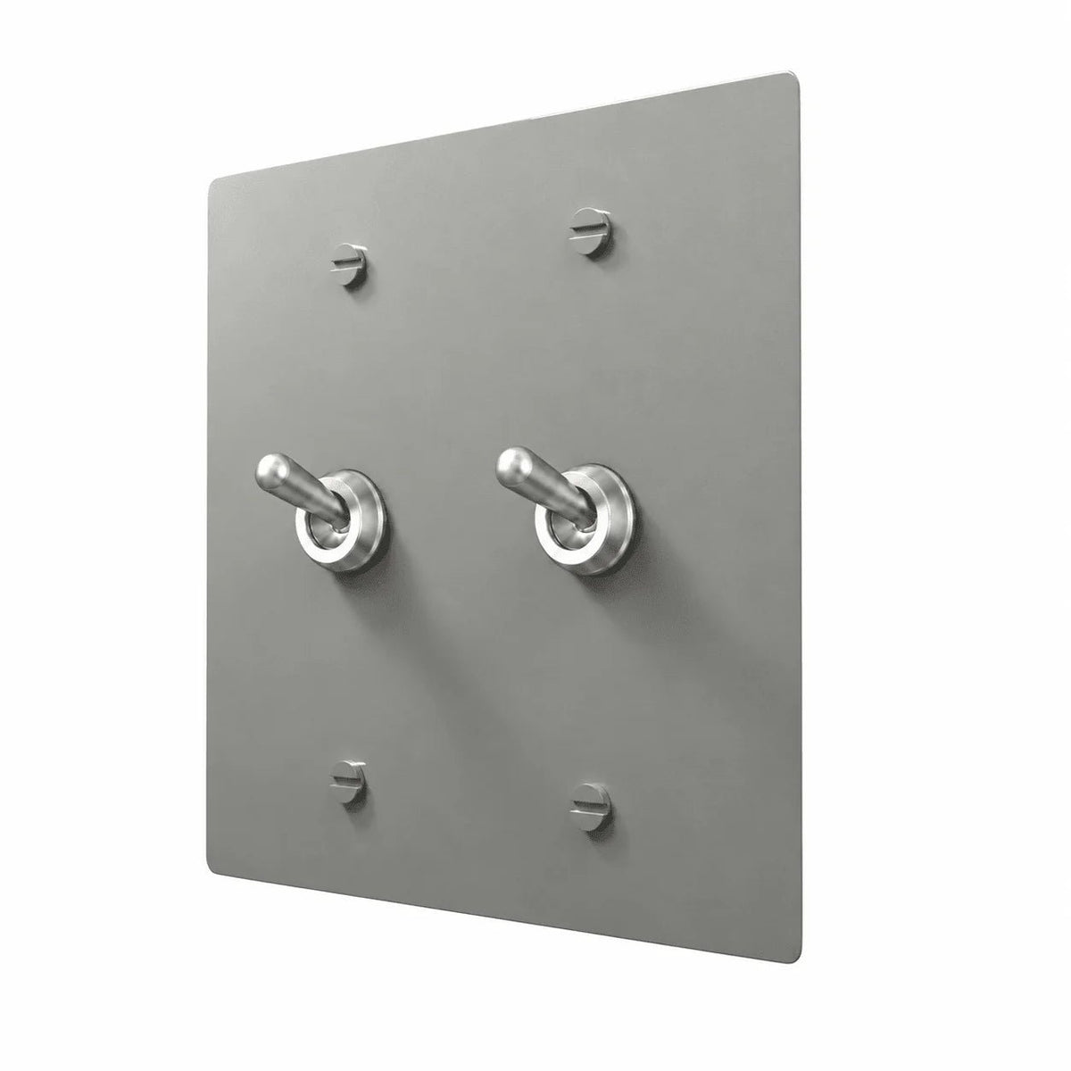 Stainless steel PlatePrestige Retro Toggle Switch 2-Gang with realistic rounded silver toggles