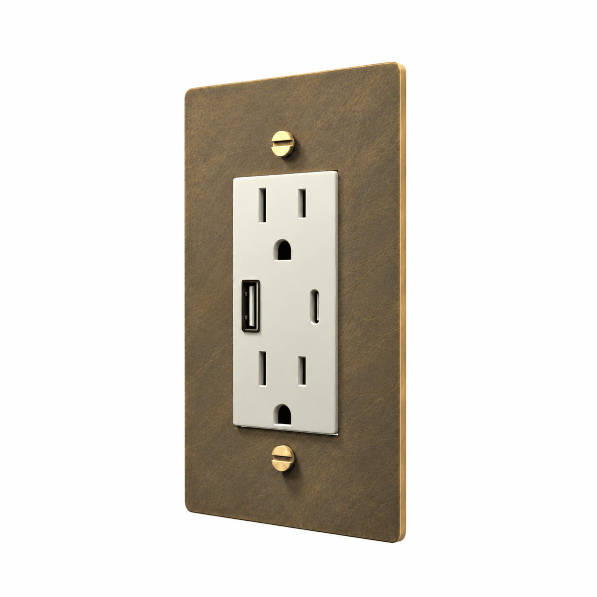 1-Gang Brass Electrical Outlet