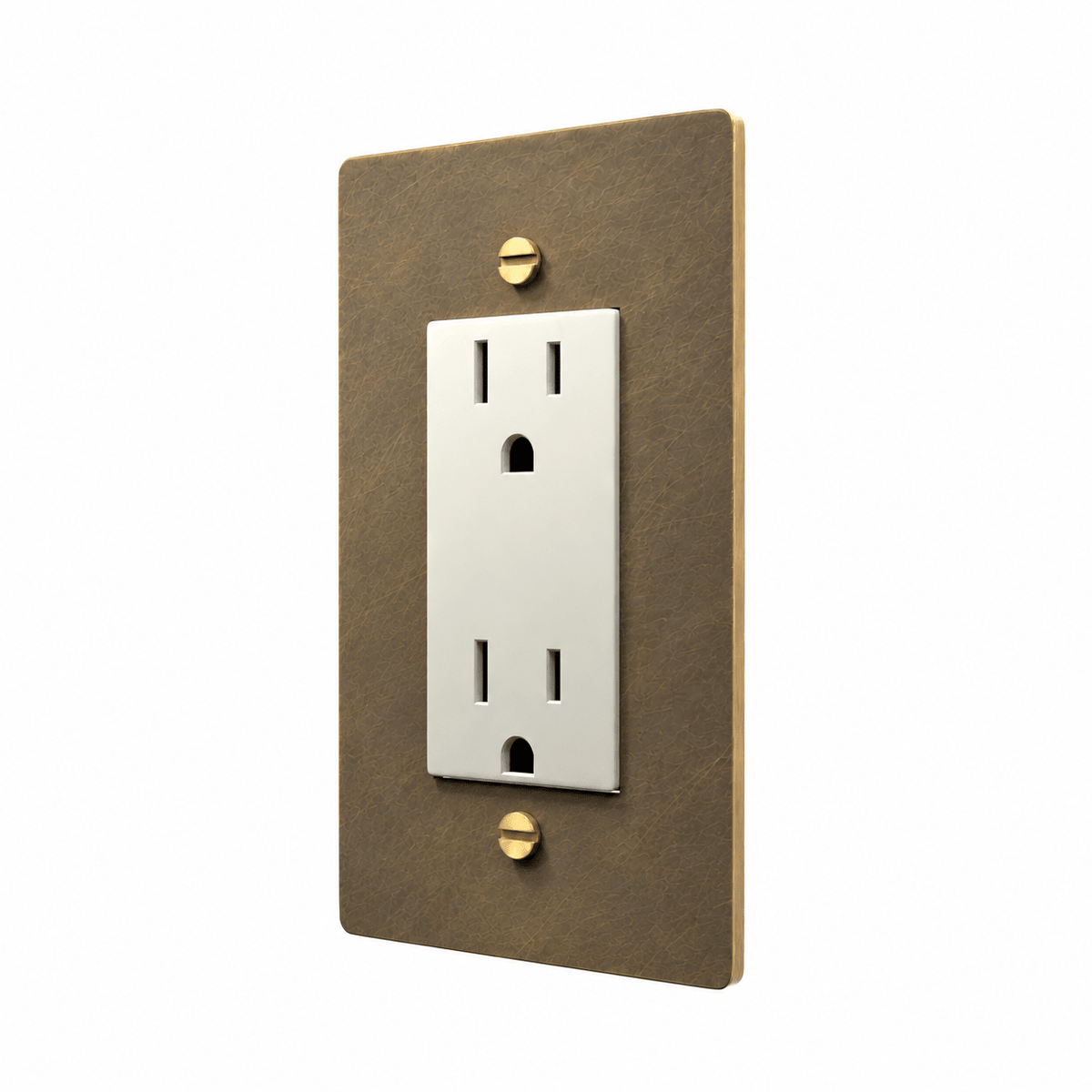 1-Gang Brass Electrical Outlet