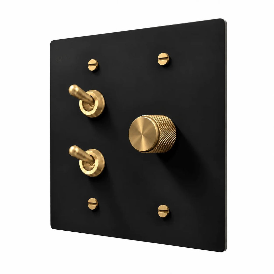 Black / Brass 2-gang stacked retro toggles and dimmer combination plate