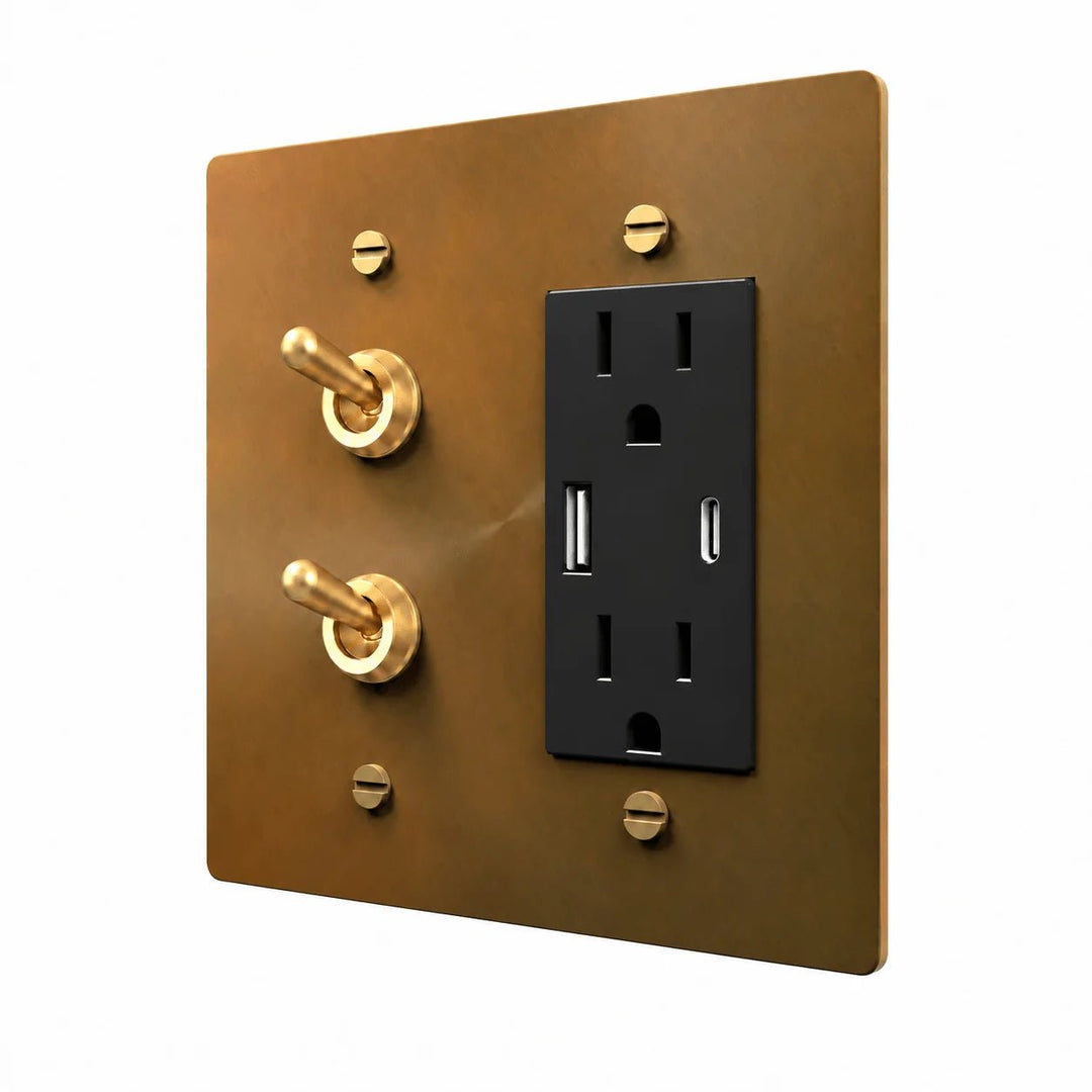 Unlacquered aged brass 2-gang stacked retro toggles and USB-A USB-C duplex outlet combination plate