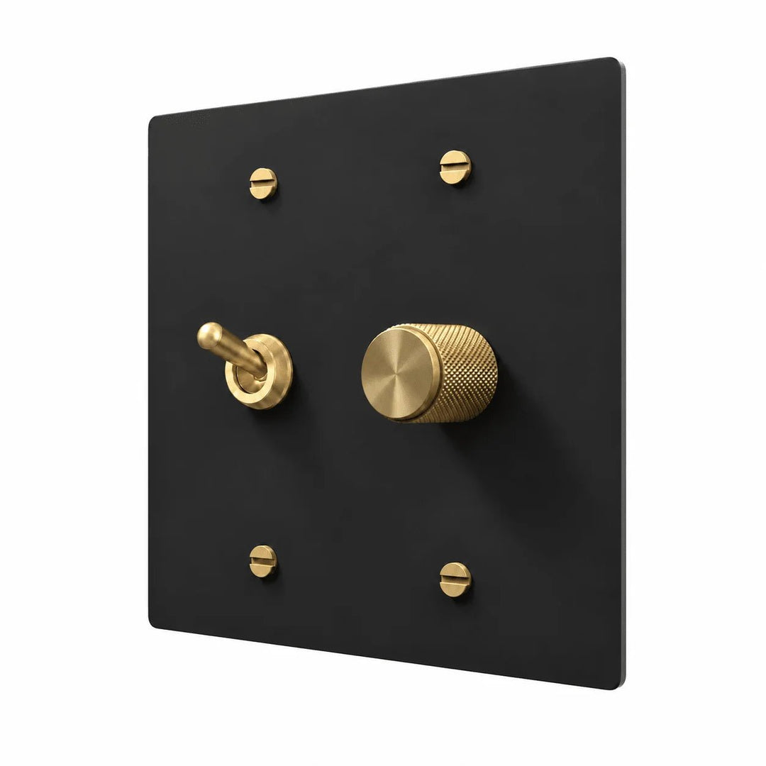 Black and brass 2-gang retro toggle and dimmer combination plate with rounded brass toggle