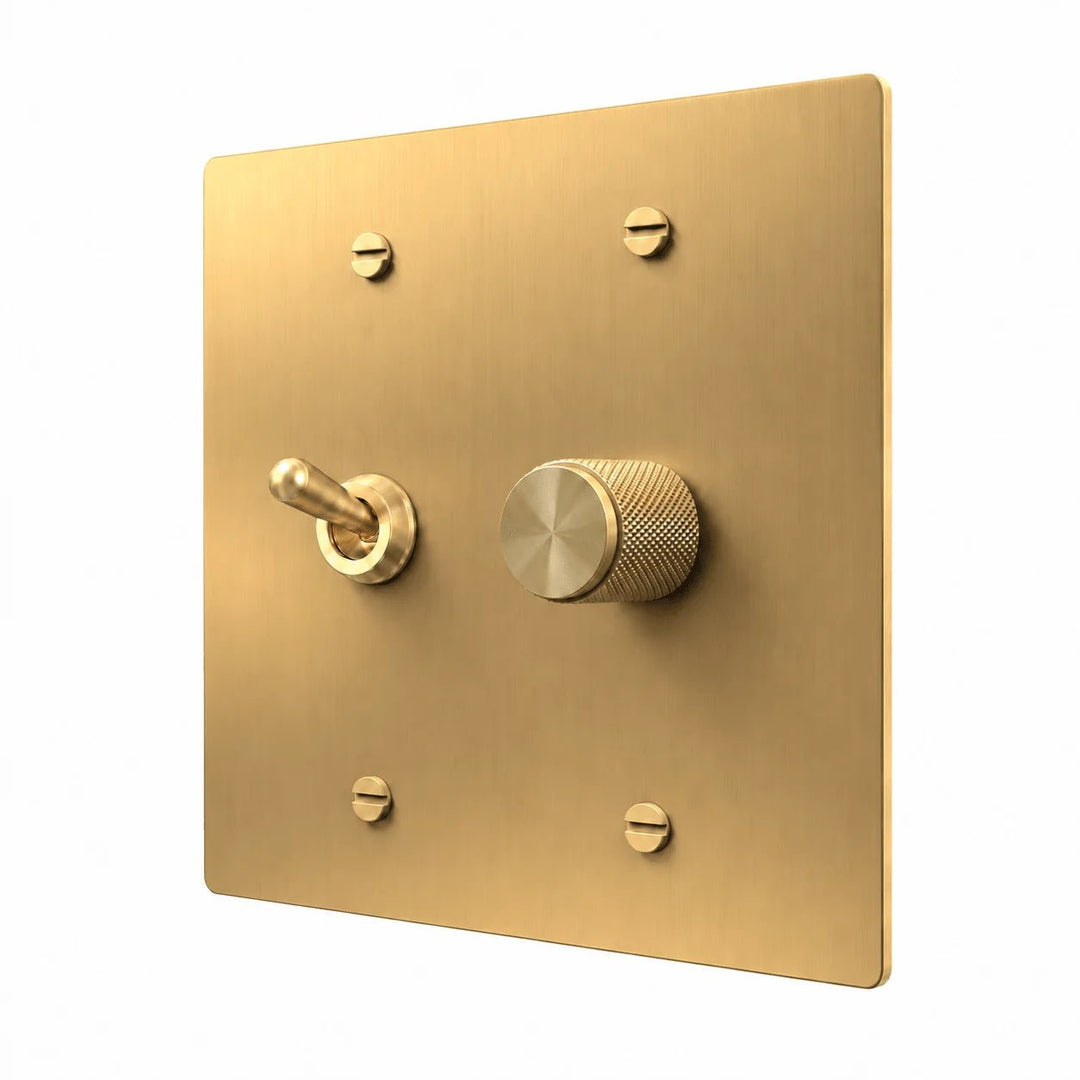 Brass 2-gang retro toggle and dimmer combination plate