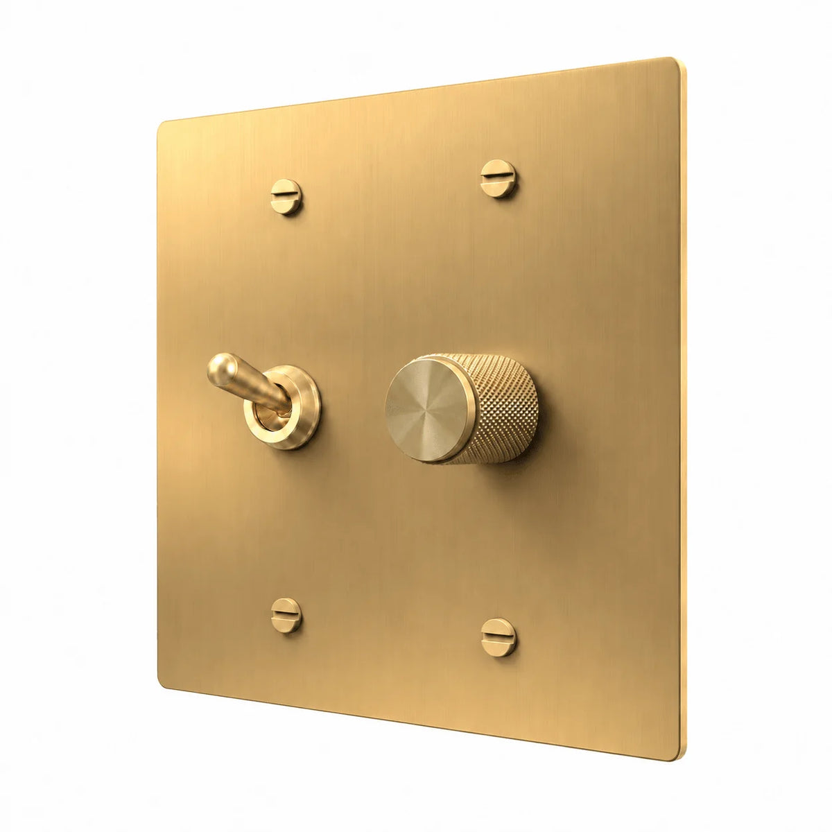 Brass 2-gang retro toggle and dimmer combination plate